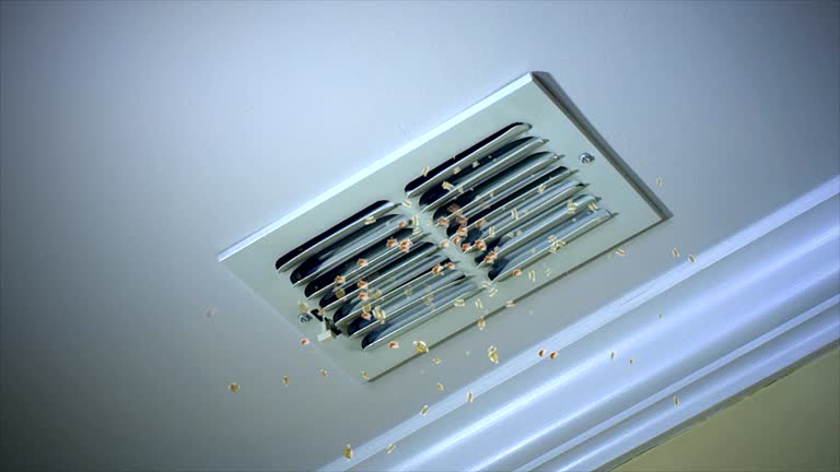  Union Park, FL Airduct Cleaning Pros