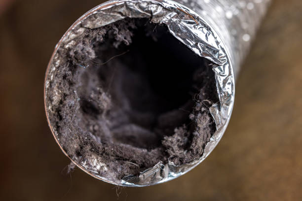 Best HVAC Air Duct Cleaning  in Union Park, FL